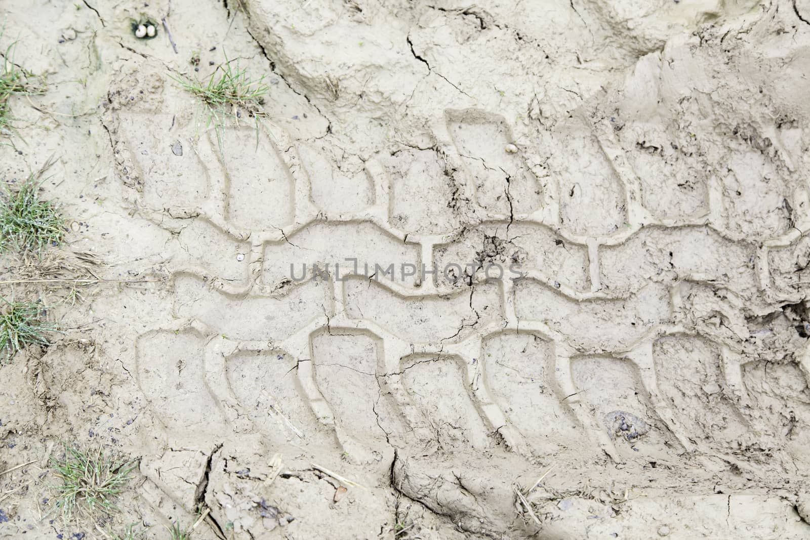 Wheel tracks in the mud, detail footprints Car