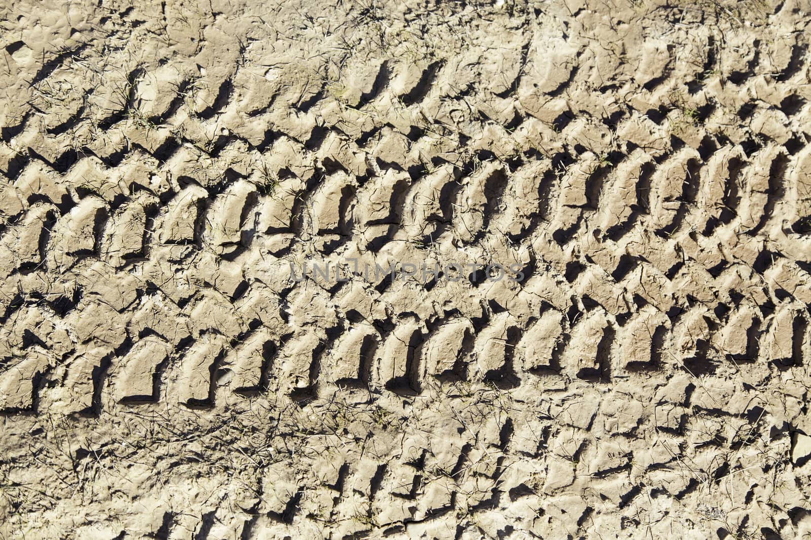 Tire tracks in the mud, detail of traces of a vehicle