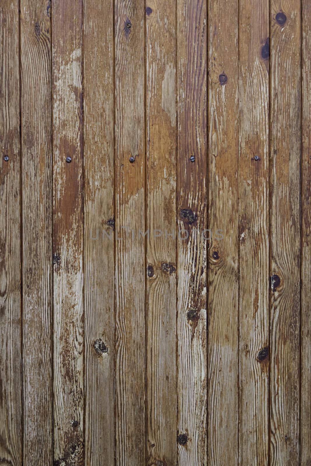 Old wooden door, detail of a wooden background texture