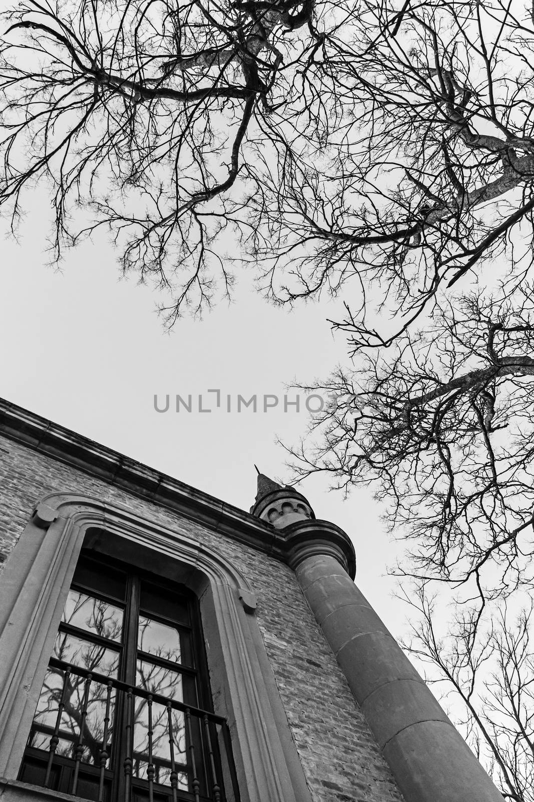 Gothic house with creepy tree by esebene