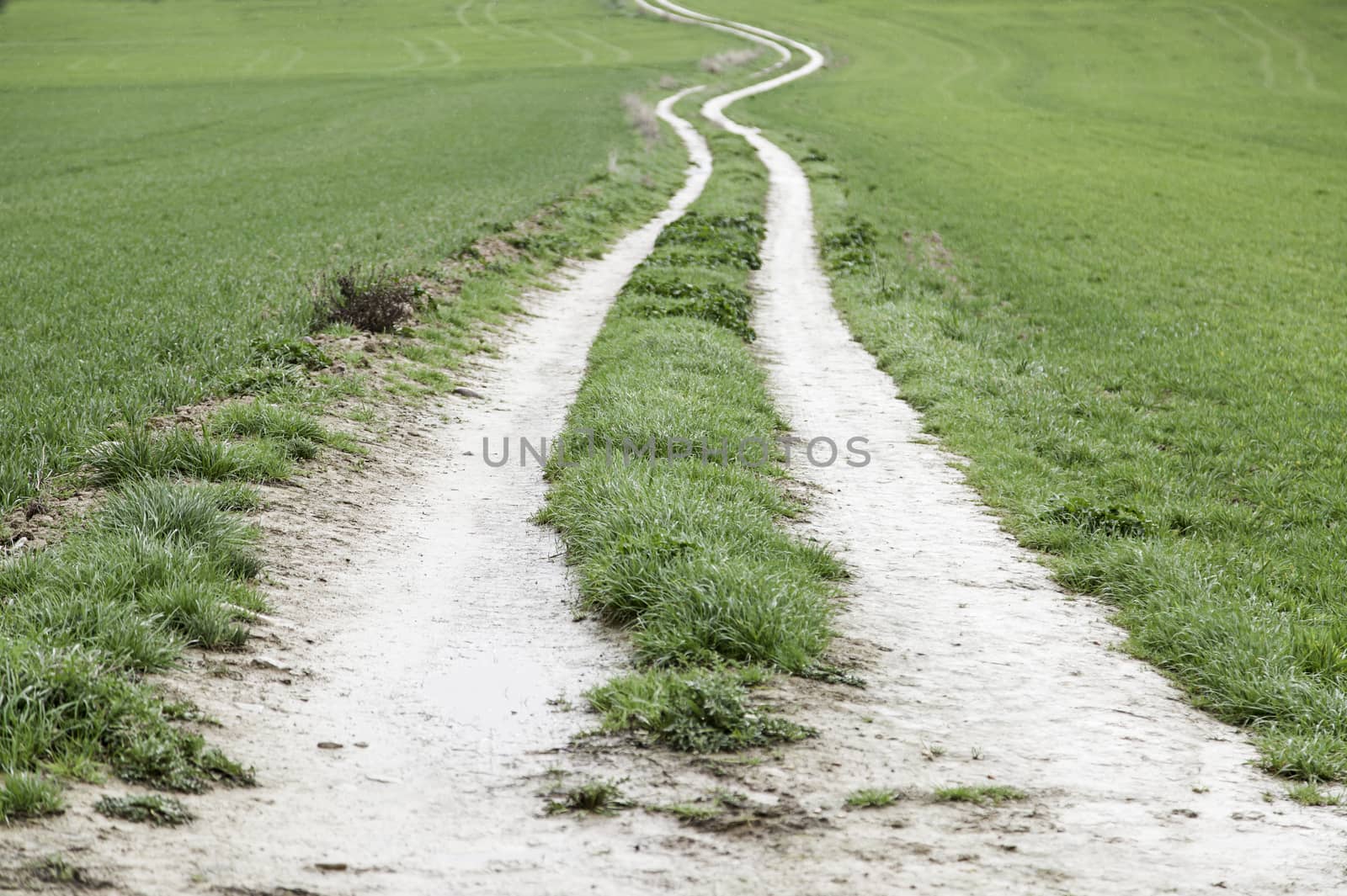 Dirt road mountain, detail of a pathway, and landscape naturaleja
