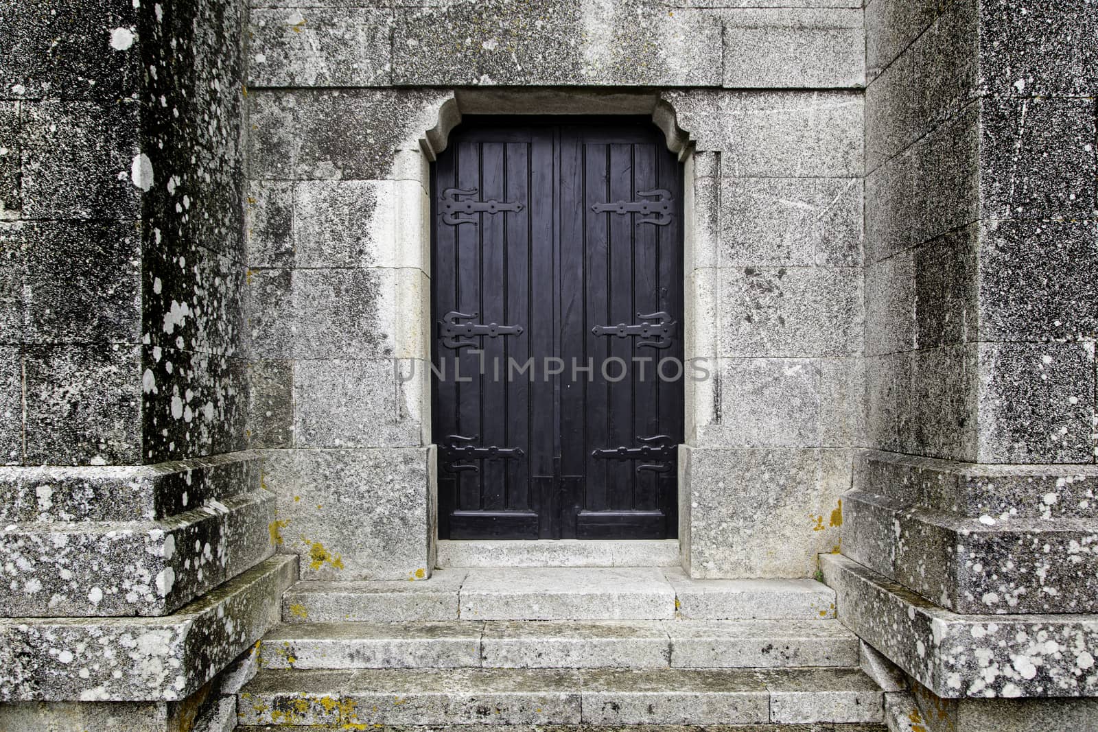 Old wooden door of a castle, background