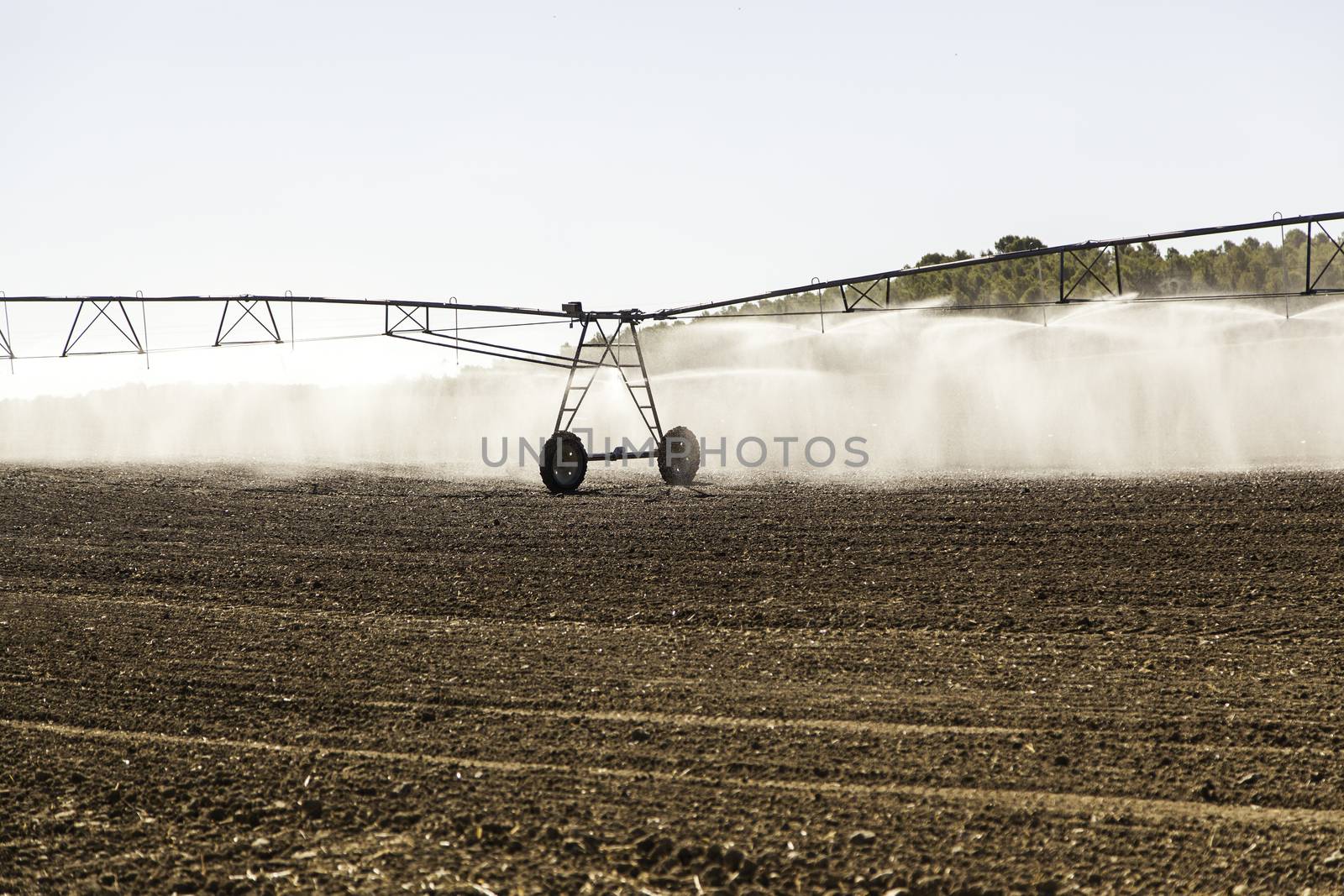 Automatic irrigation system in a cereal field by esebene