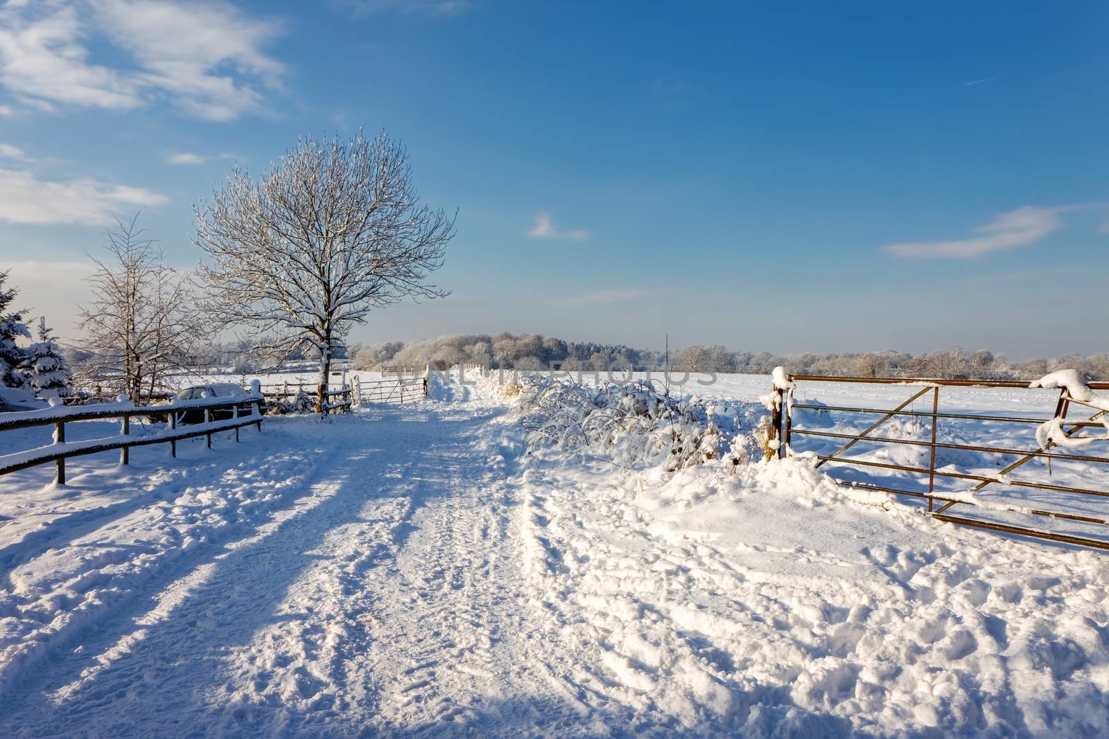 Winter scene in East Grinstead by phil_bird
