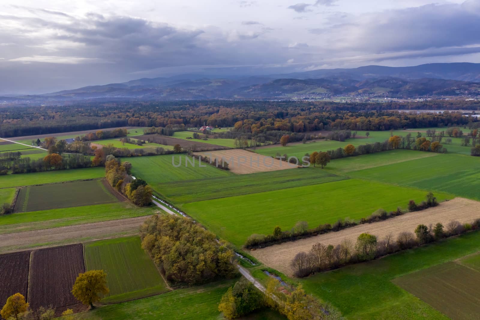 Aerial view of east Slovenia countryside with fields, forest and hedges, hedgerows dividing fields and meadows by asafaric