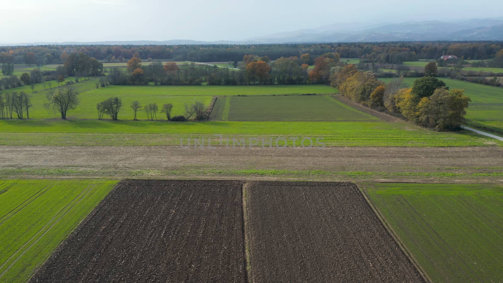 Aerial view of east Slovenia countryside with fields, forest and hedges, hedgerows dividing fields and meadows by asafaric