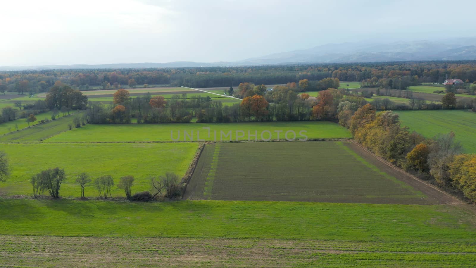 Aerial view of east Slovenia countryside with fields, forest and hedges, hedgerows dividing fields and meadows, Pohorje mountain in far background, traditional small farms agriculture