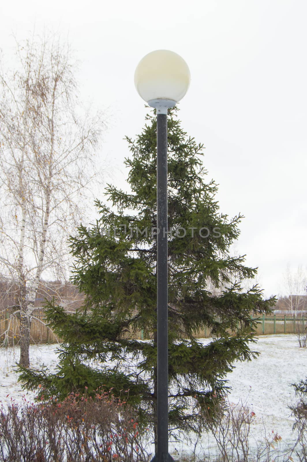Funny picture - the lamppost with a white canopy on the top of the tree spruce tree winter in the Park.