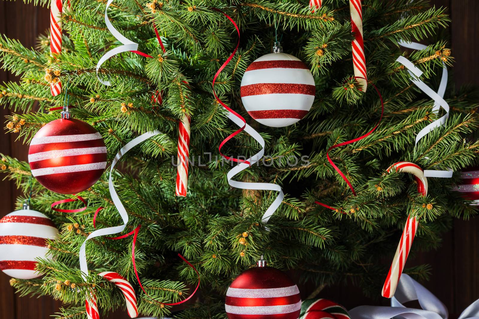 Merry christmas card with decorated christmas tree