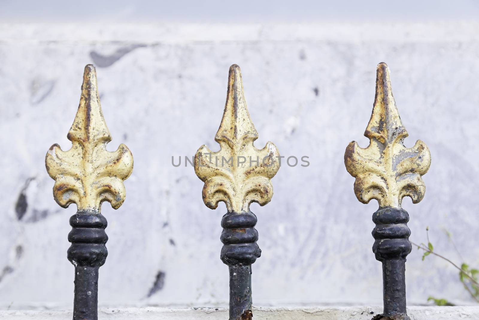 Gold painted metal gates, metal railings detail of a painted and decorated, safety and security