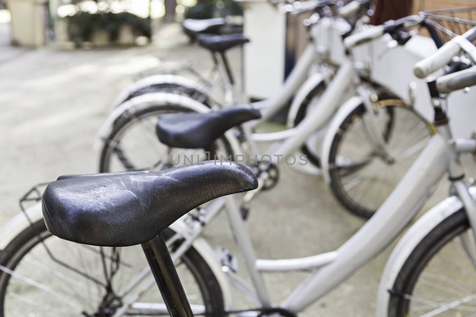 Stops in the city Bicycles, detail of a means of transportation on the street, health and environment