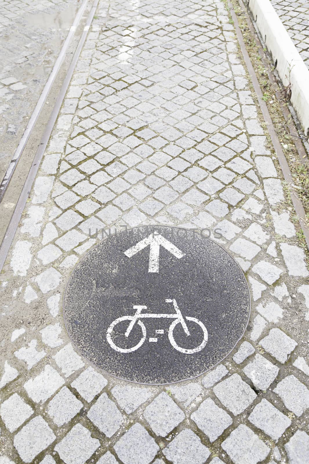 Sign bike path, detail of a bike lane in the city, sport and transport