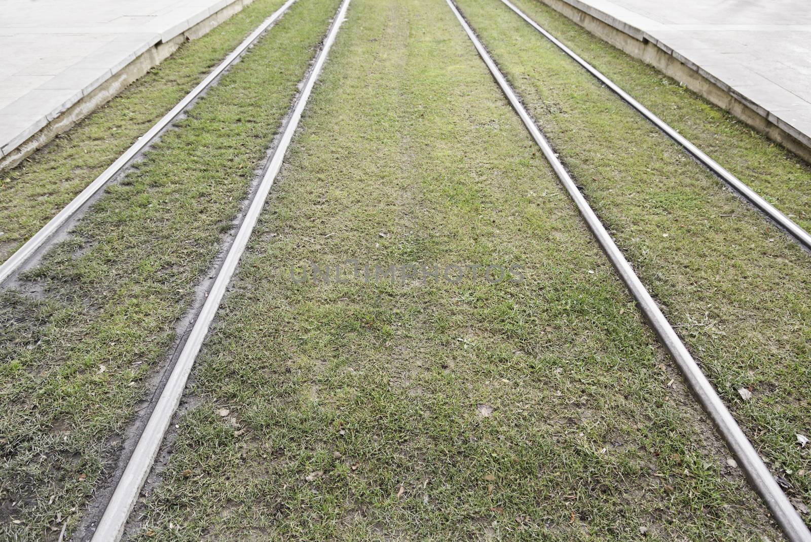 Tram tracks in the grass, detail some rails for a train in the city, public transport