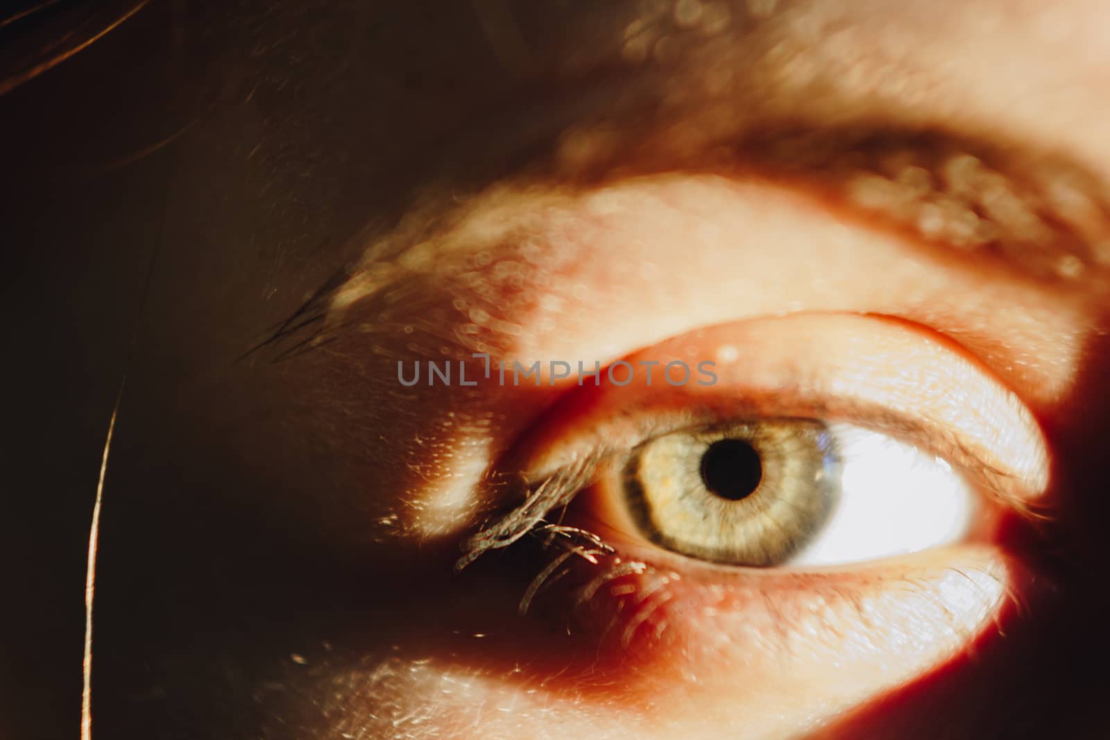 Human eye detail, female macro eye close up by yulaphotographer