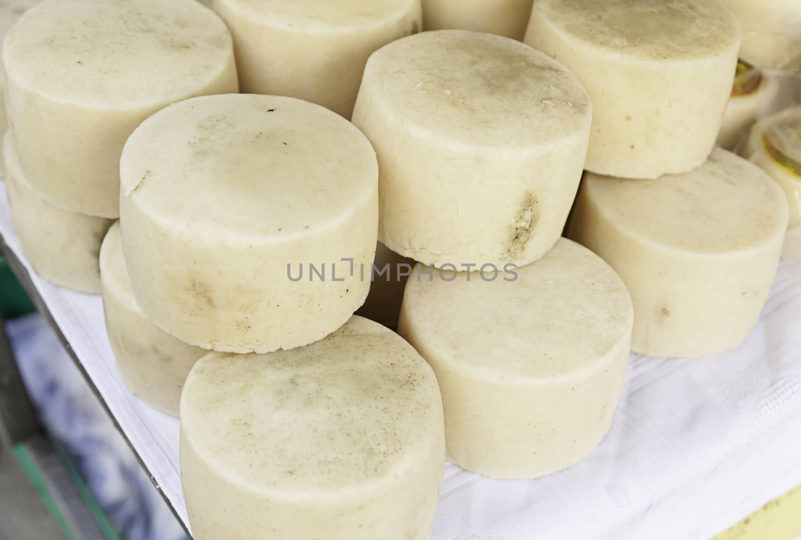Sheep cheese detail of a dairy product, food healthy, dry and cured