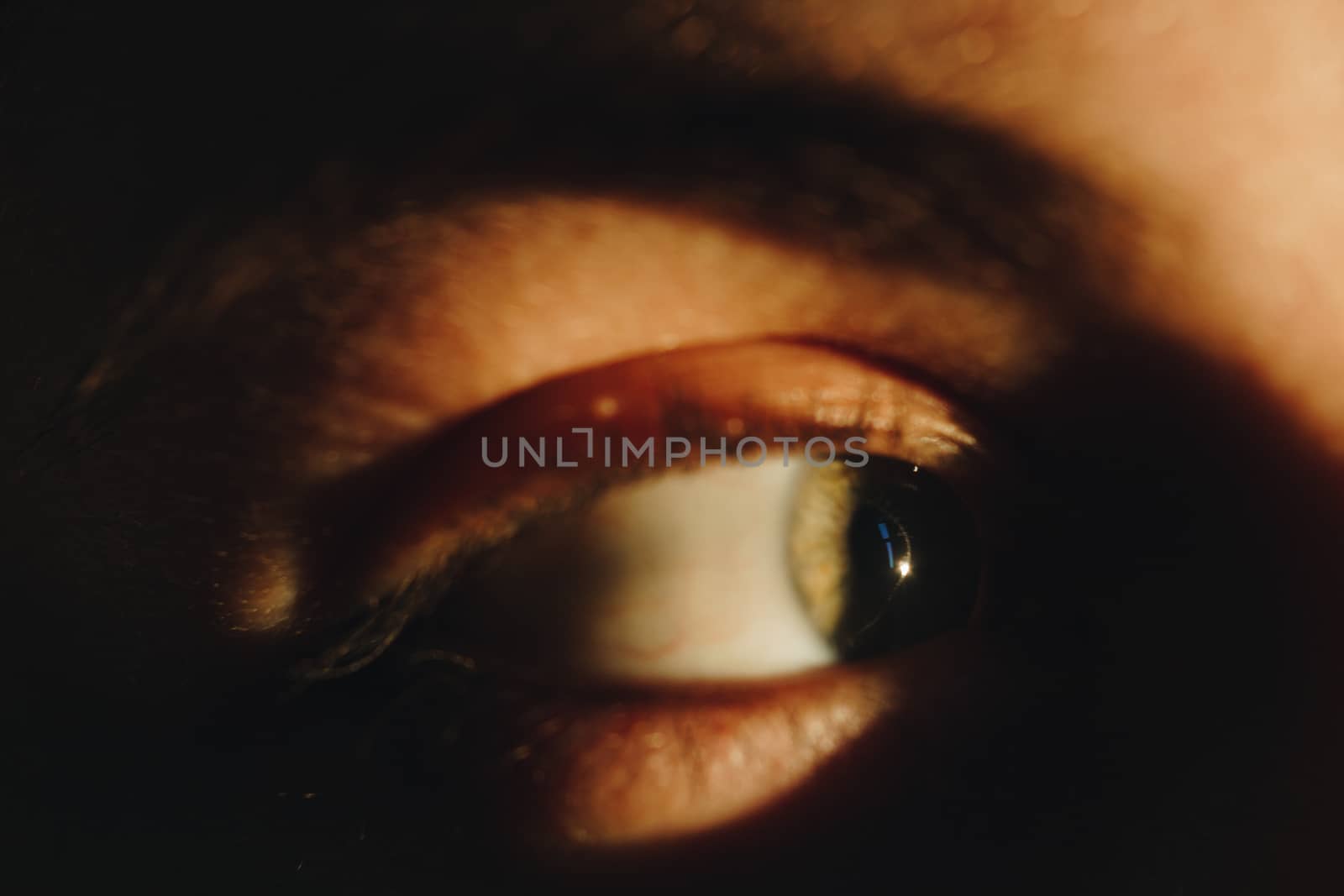 Human eye detail, female macro eye close up by yulaphotographer