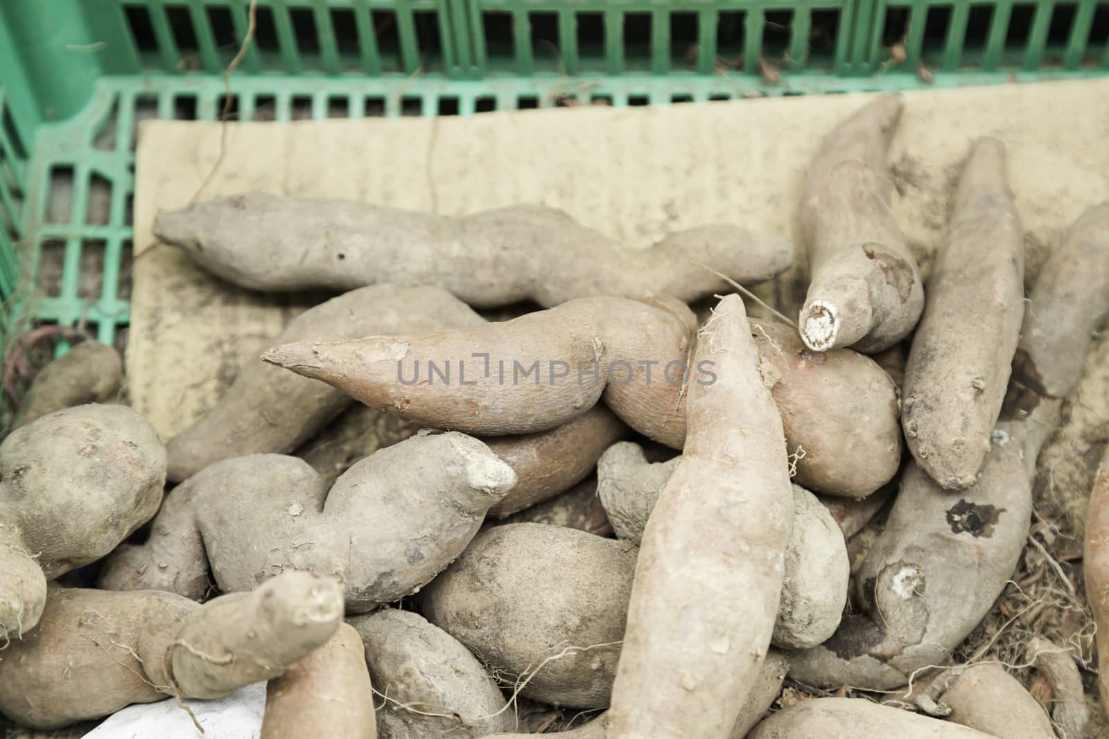 Fresh ginger in a market, detail of a fresh fruit, health and tradition