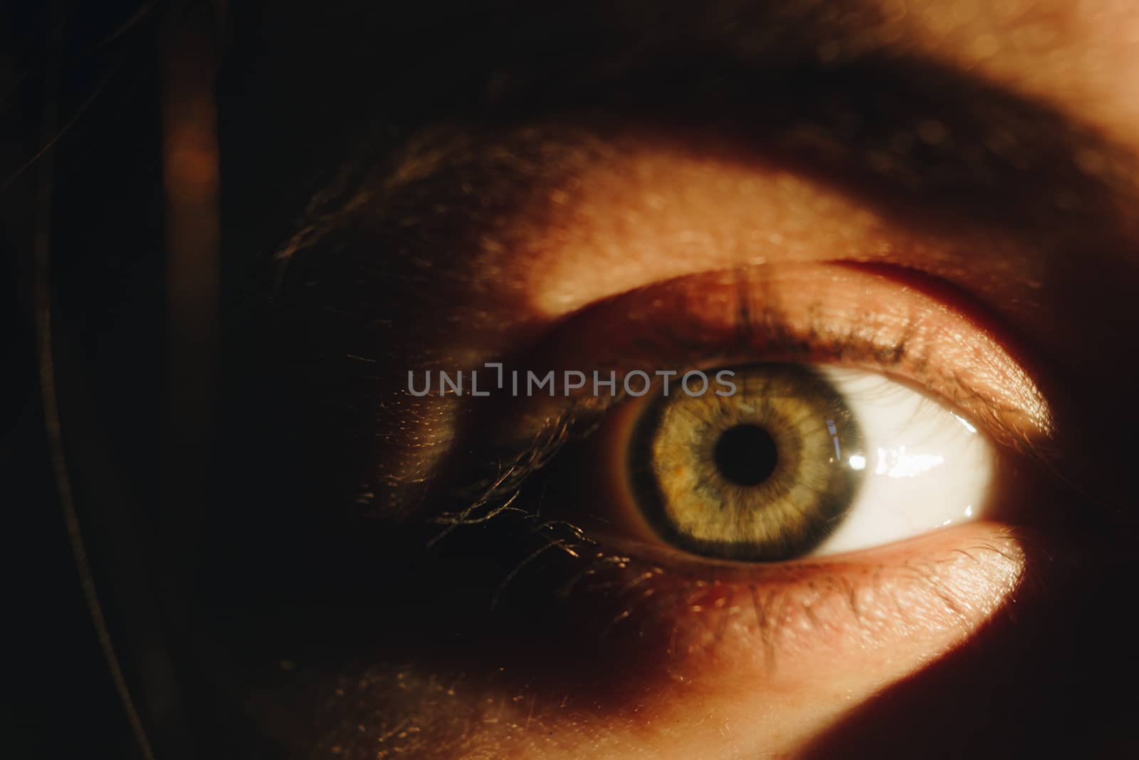 Human eye detail, female macro eye close up. the play of light and shadow
