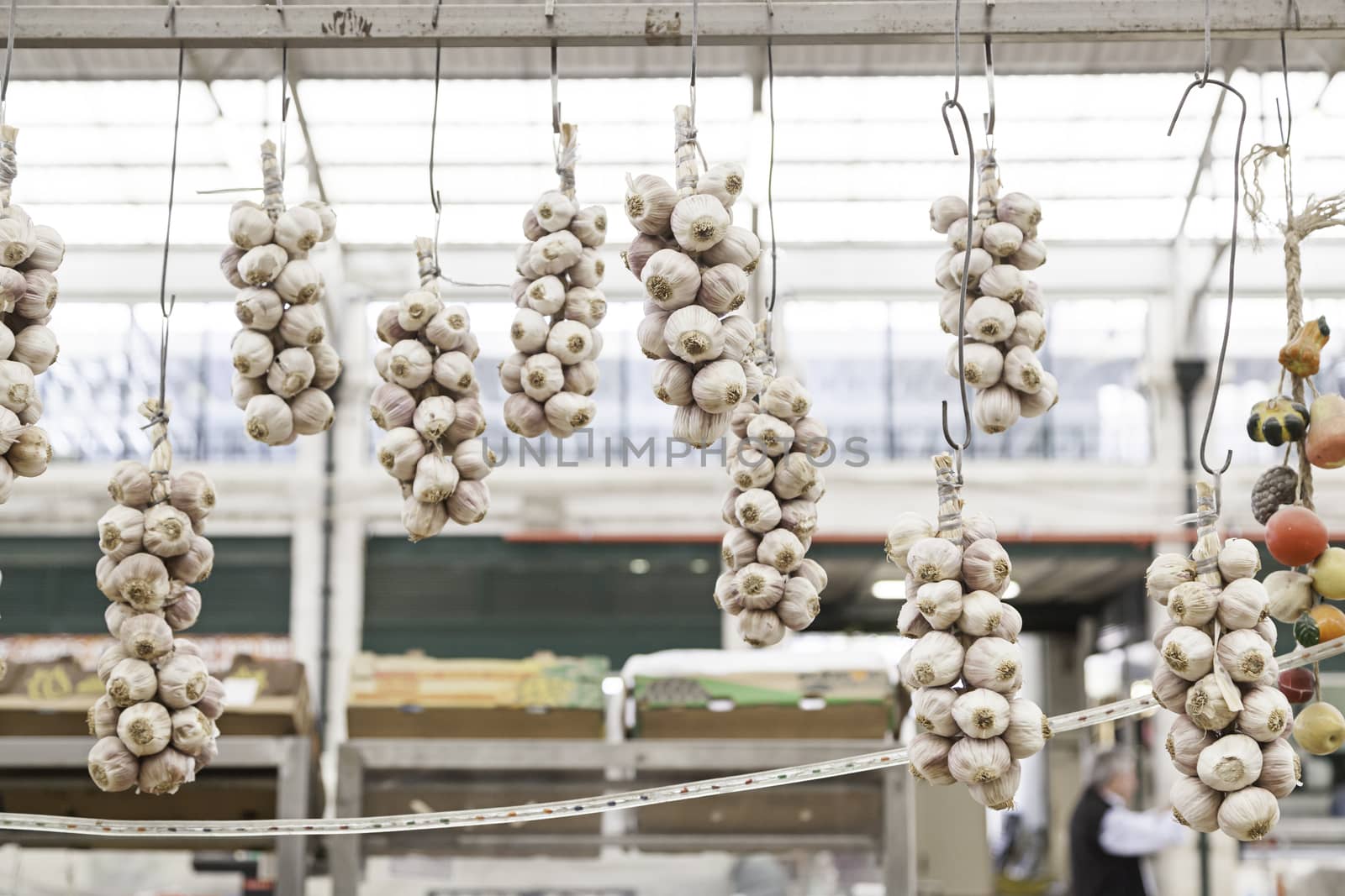 Fresh garlic in a market, detail of a fresh vegetable, spice and diet, health food