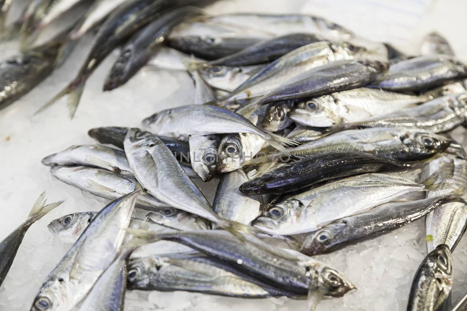 Fresh fish in a market, detail of an old fishmonger, healthy food, sea fish