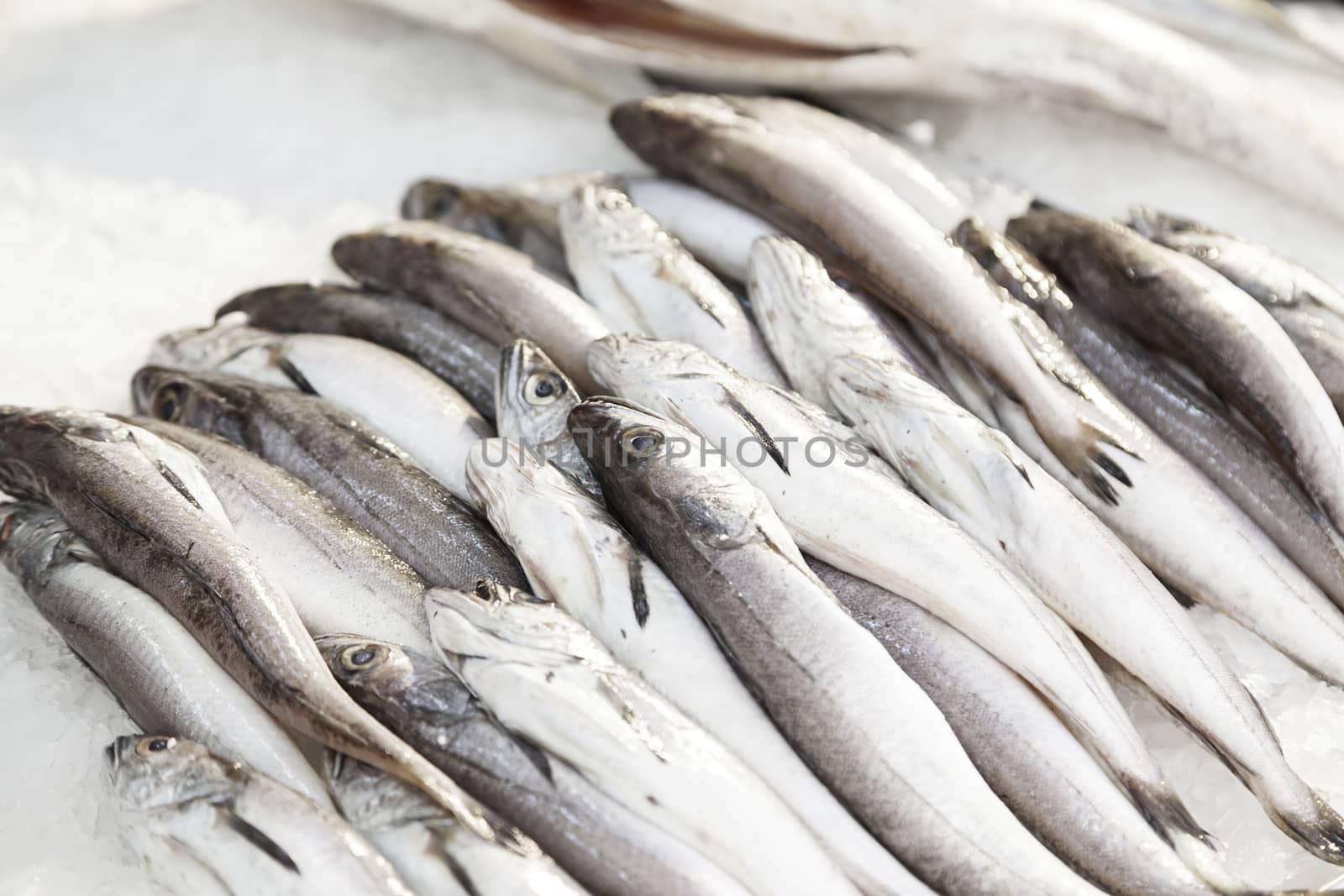 Fresh fish in a market, detail of an old fishmonger, healthy food, sea fish