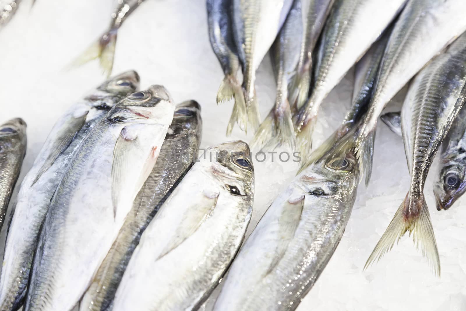 Fresh fish in a market, detail of an old fishmonger, healthy food, sea fish