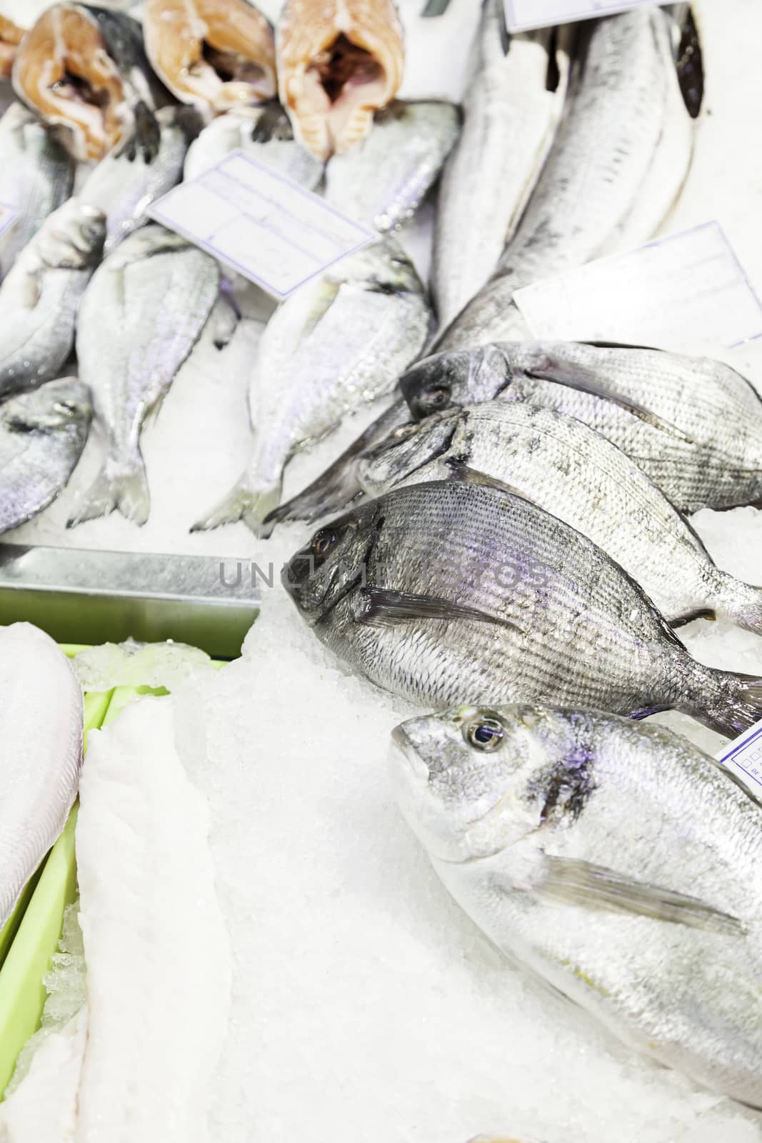 Fresh fish in a market, detail of an old fishmonger, healthy food, sea fish