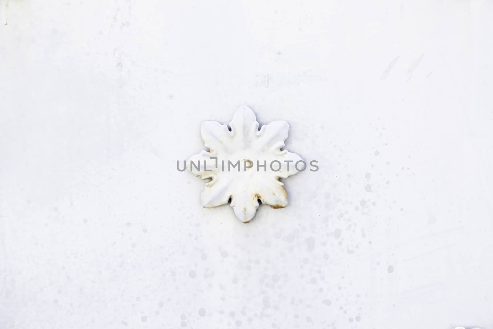 Flower white metal, detail of a wall with a metal flower decoration