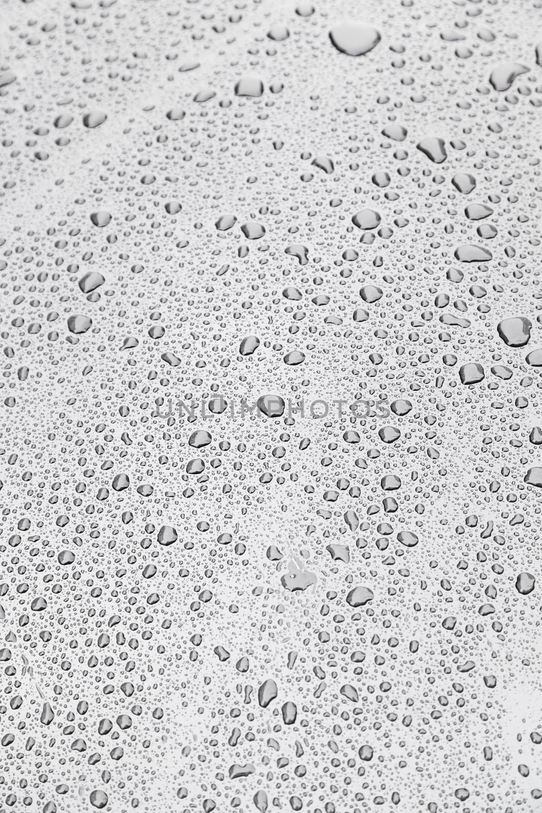 Wet Metal, detail of a metallic background wet with water, textured background