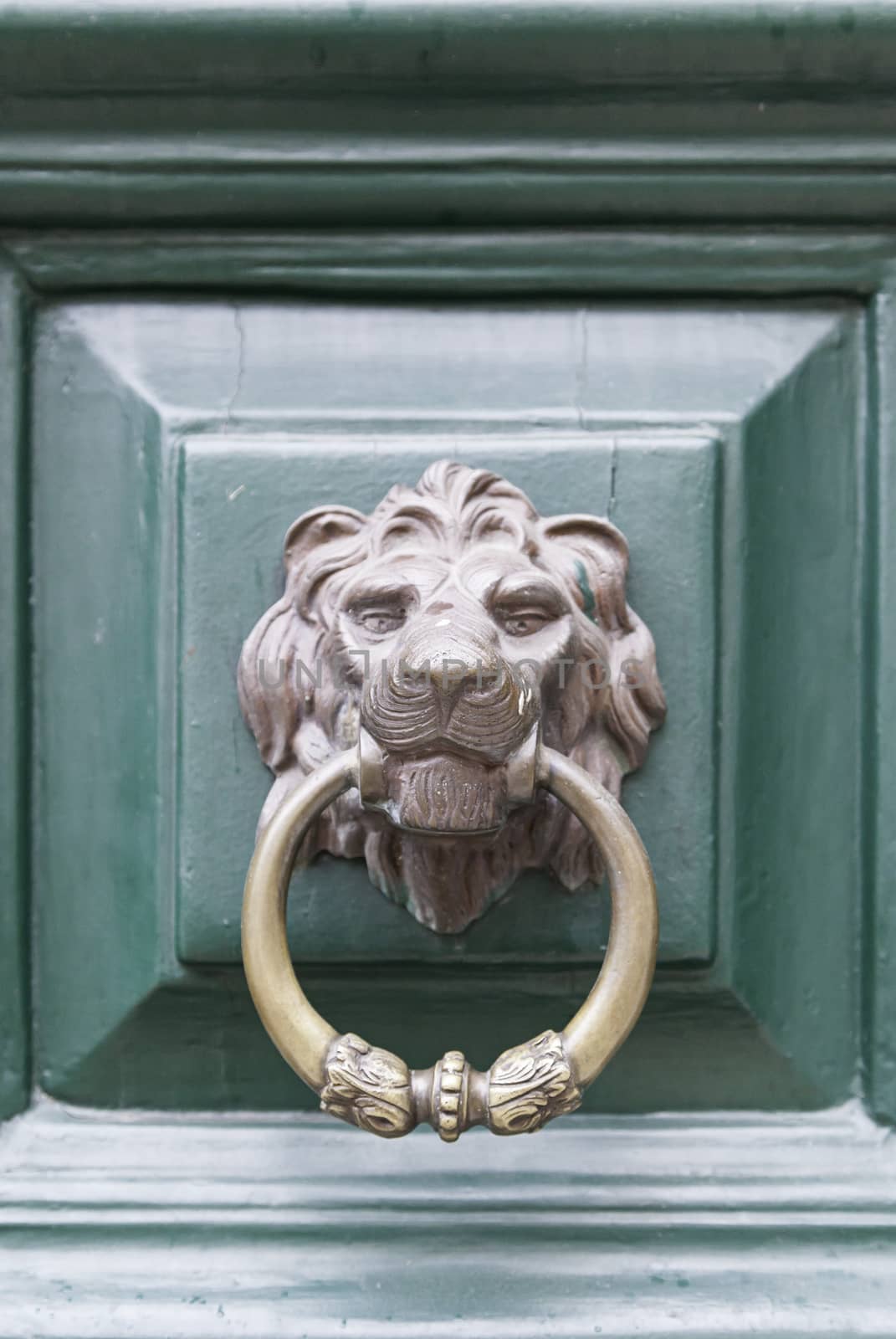 Caller shaped golden lion, detail of an ancient decorated door, ancient art 