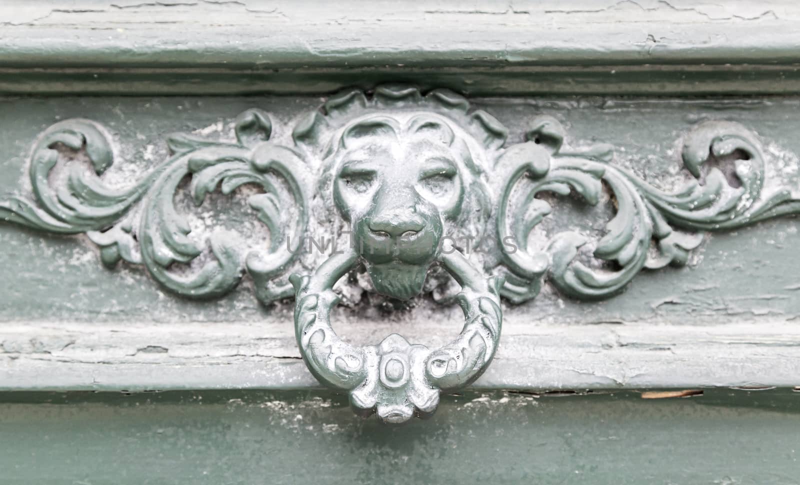Caller shaped golden lion, detail of an ancient decorated door, ancient art