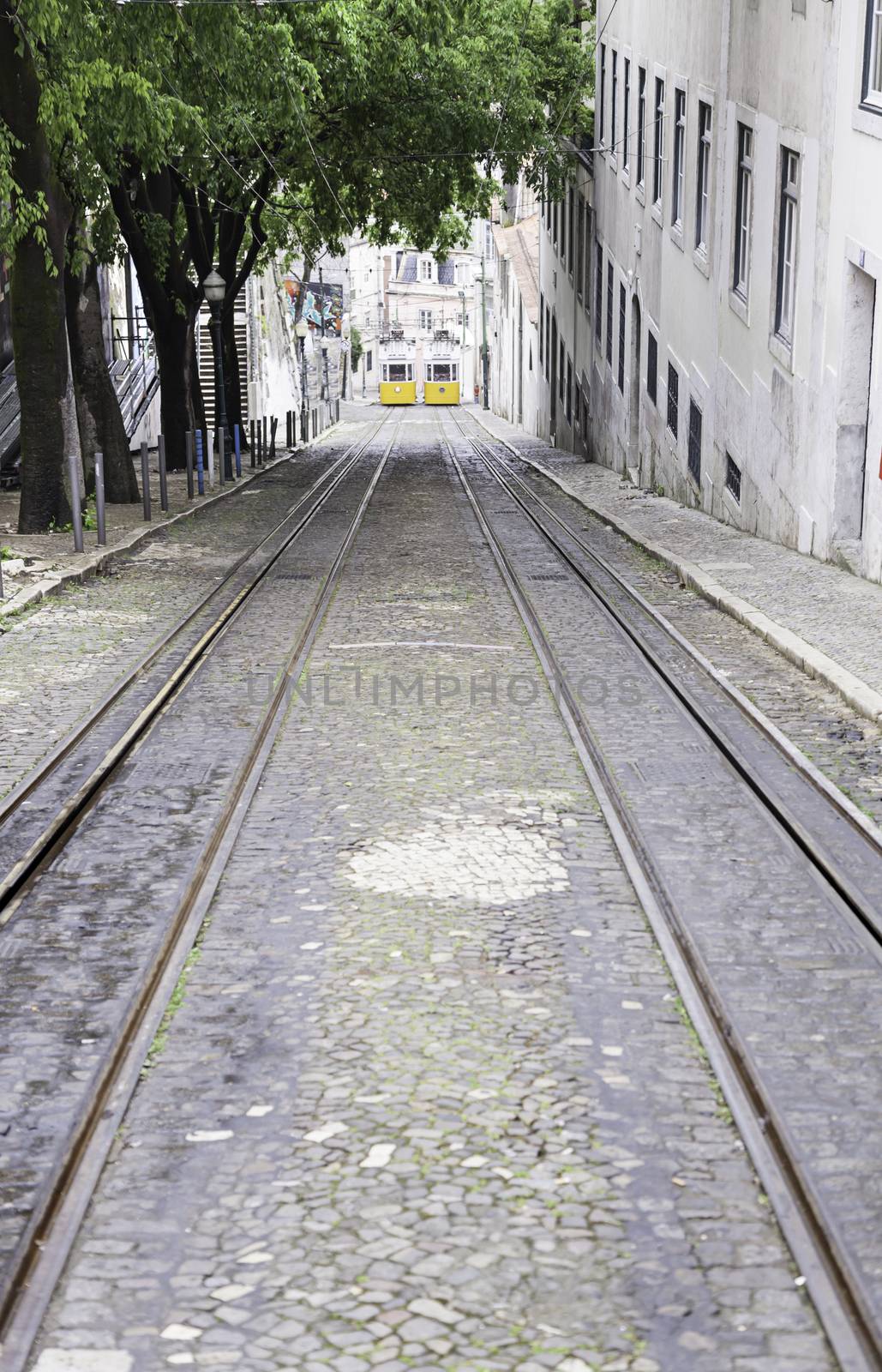 Old trams in Lisbon by esebene