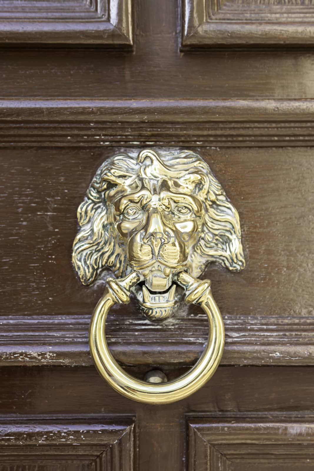 Caller shaped golden lion, detail of an ancient decorated door, ancient art