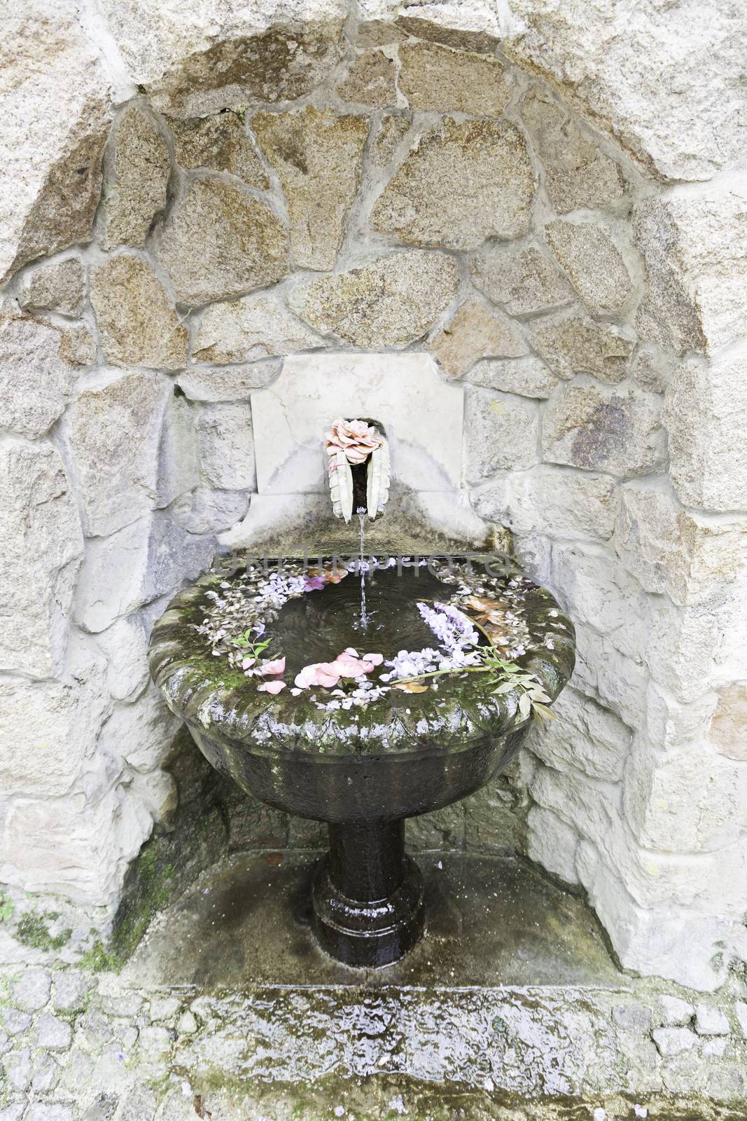 Old stone fountain with flowers, detail of a decorated stone sculpture, ancient atrte