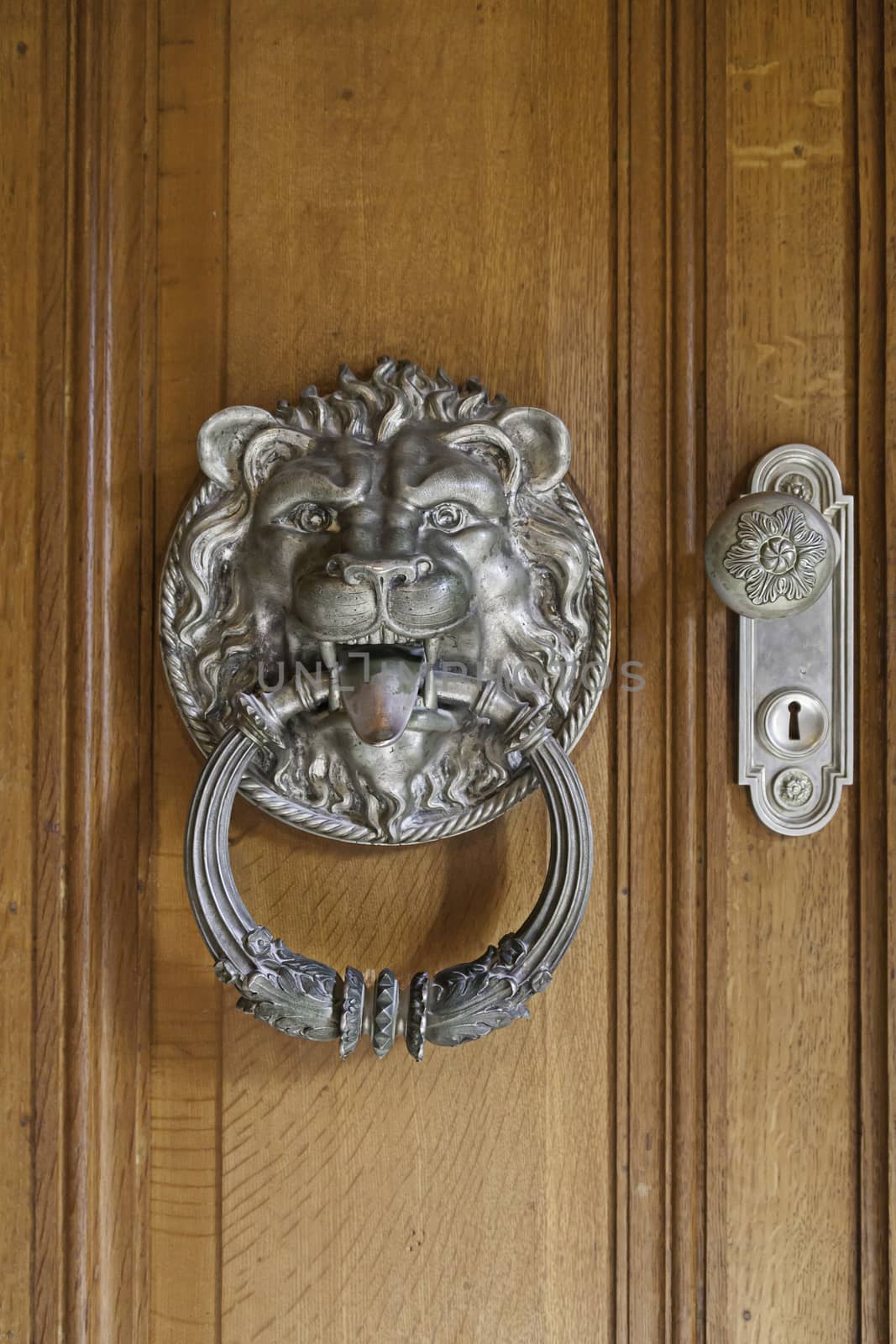 Lion knocker on a door, detail of a decoration in an old wooden door