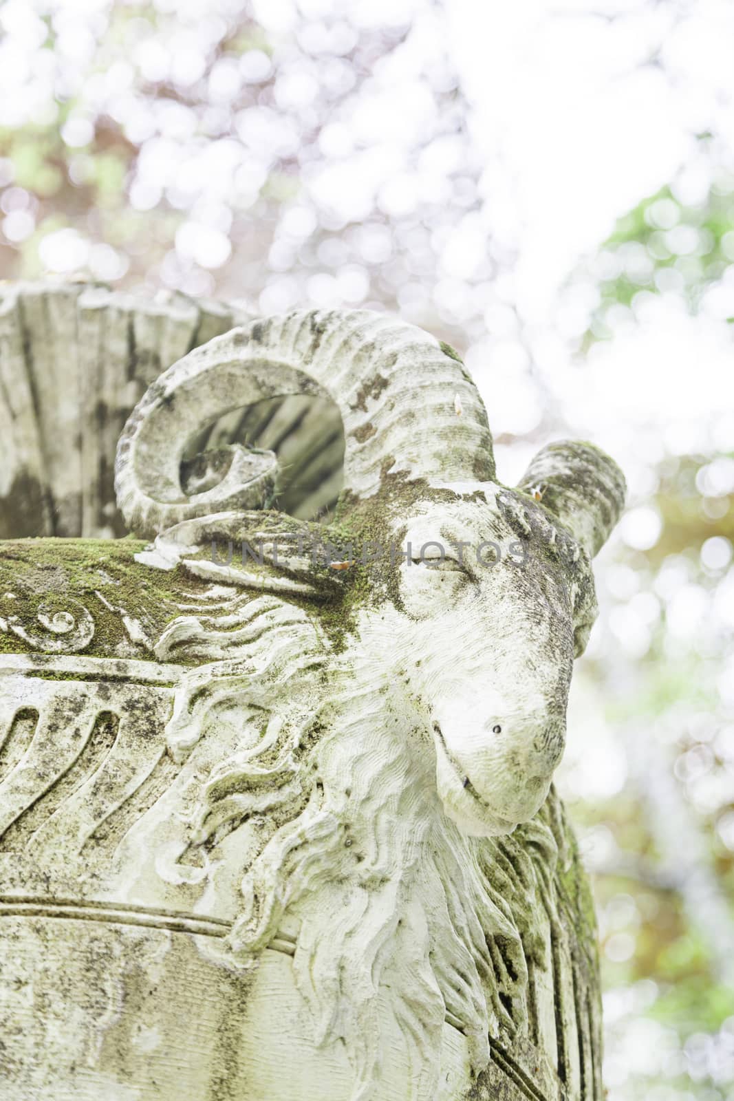 Vase with detail of a goat, old stone object, classical art