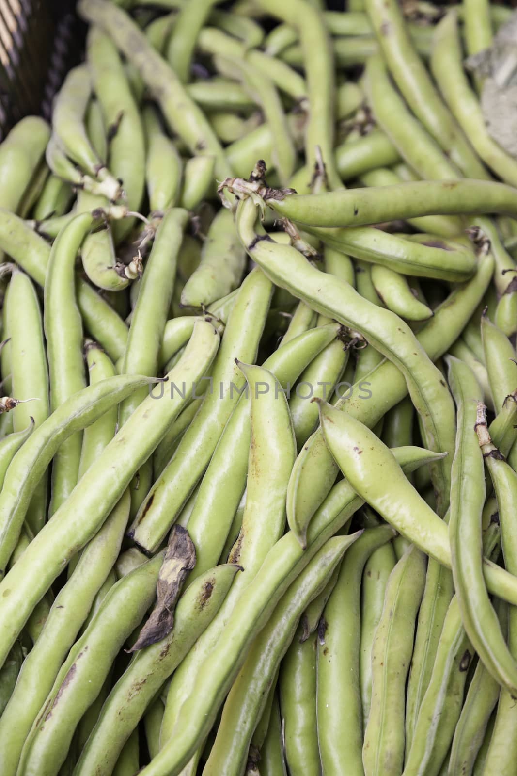 Green peas raw vegetable healthy lifestyle, diet, food rich in vitamins
