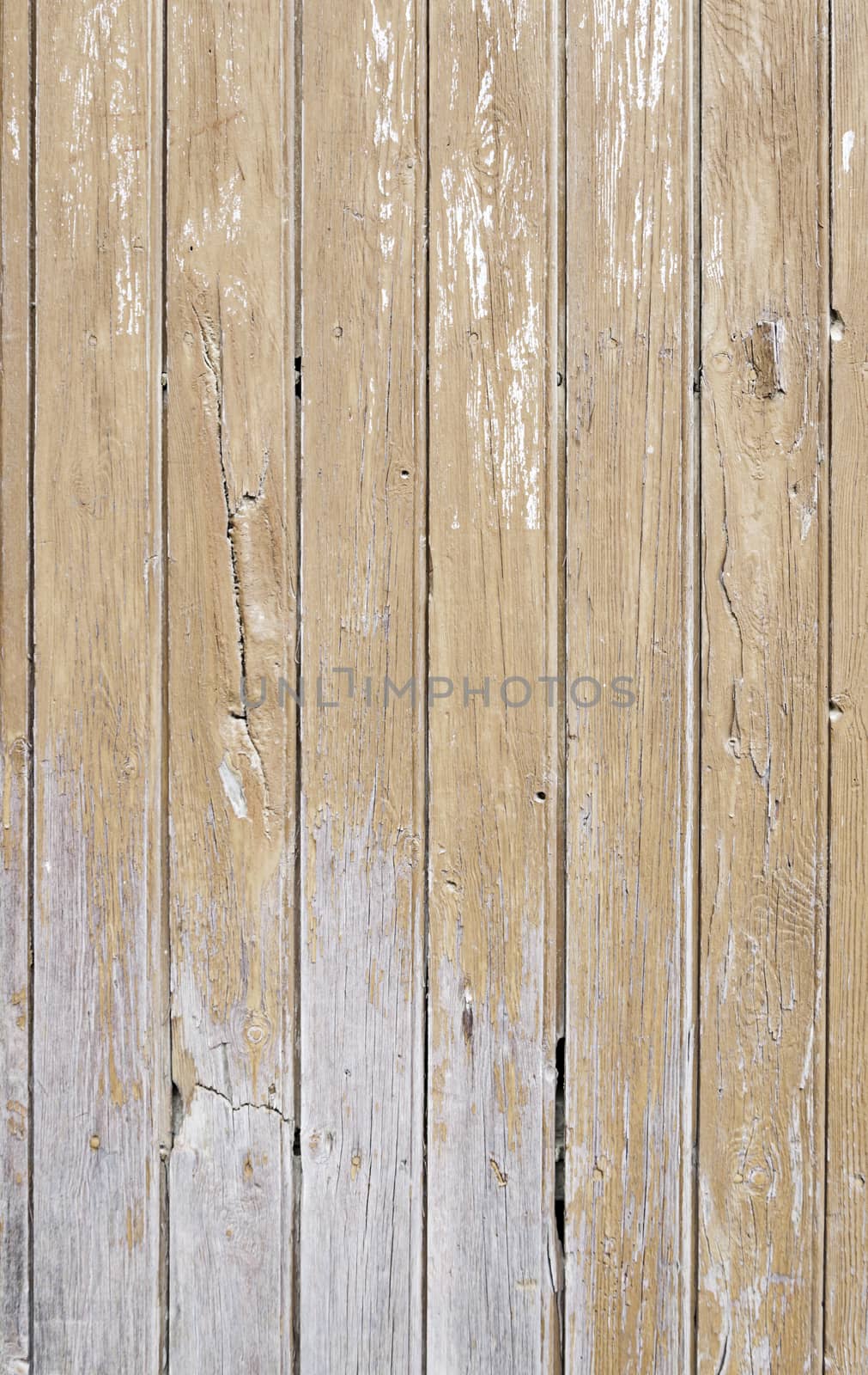 Old spoiled wood, detail of a wall decorated with abandoned wood