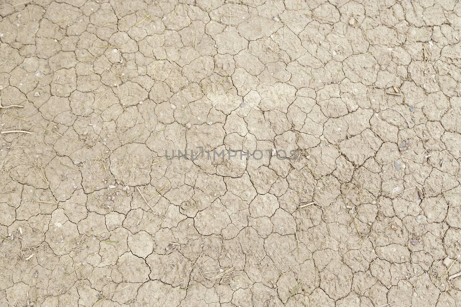 Dry cracked mud, detail of a dry river by drought, ecological damage