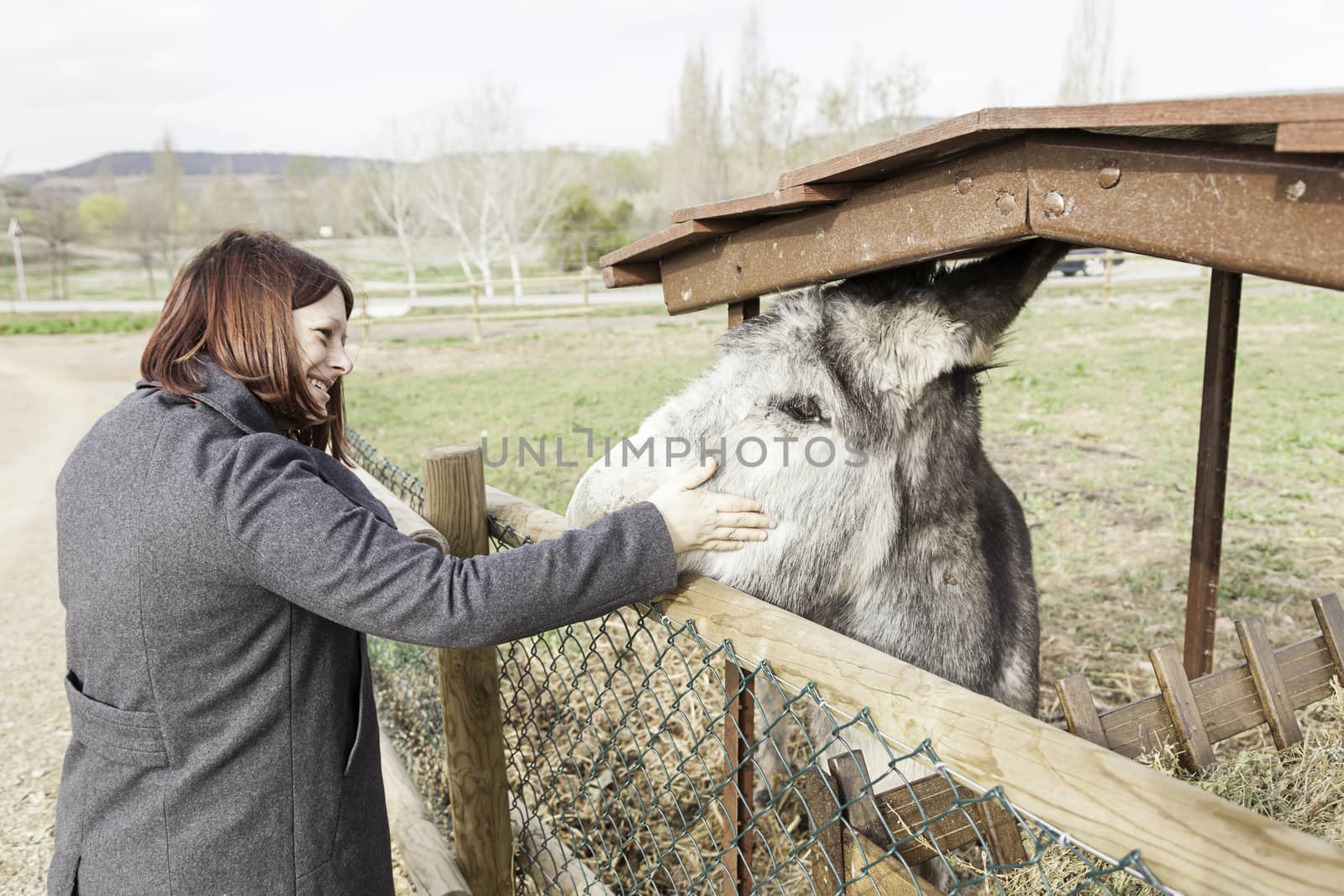 I petting a donkey on a farm, giving details of a person to an animal affection