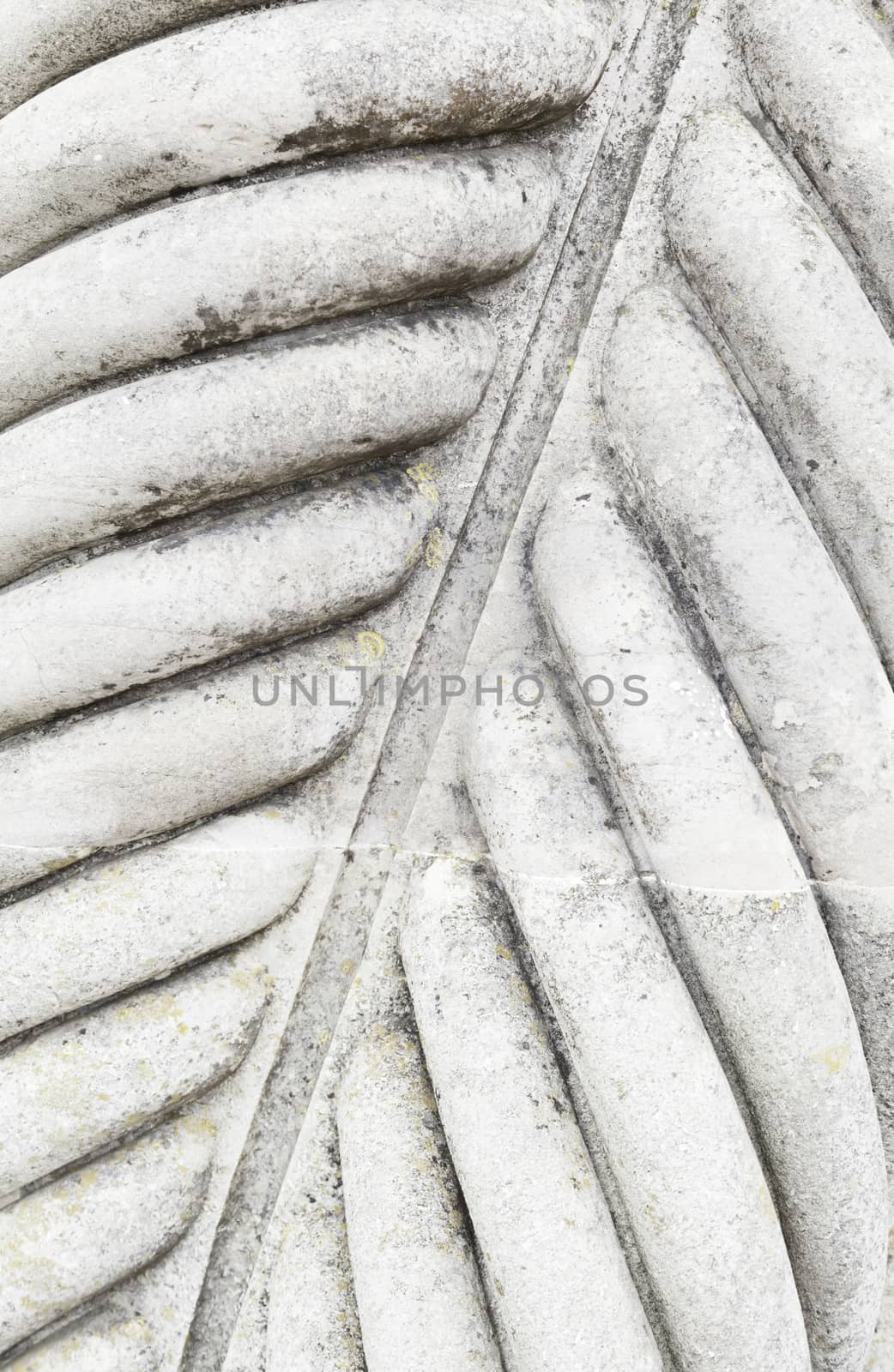 Column decorated stone detail of a textured stone background, ancient architecture