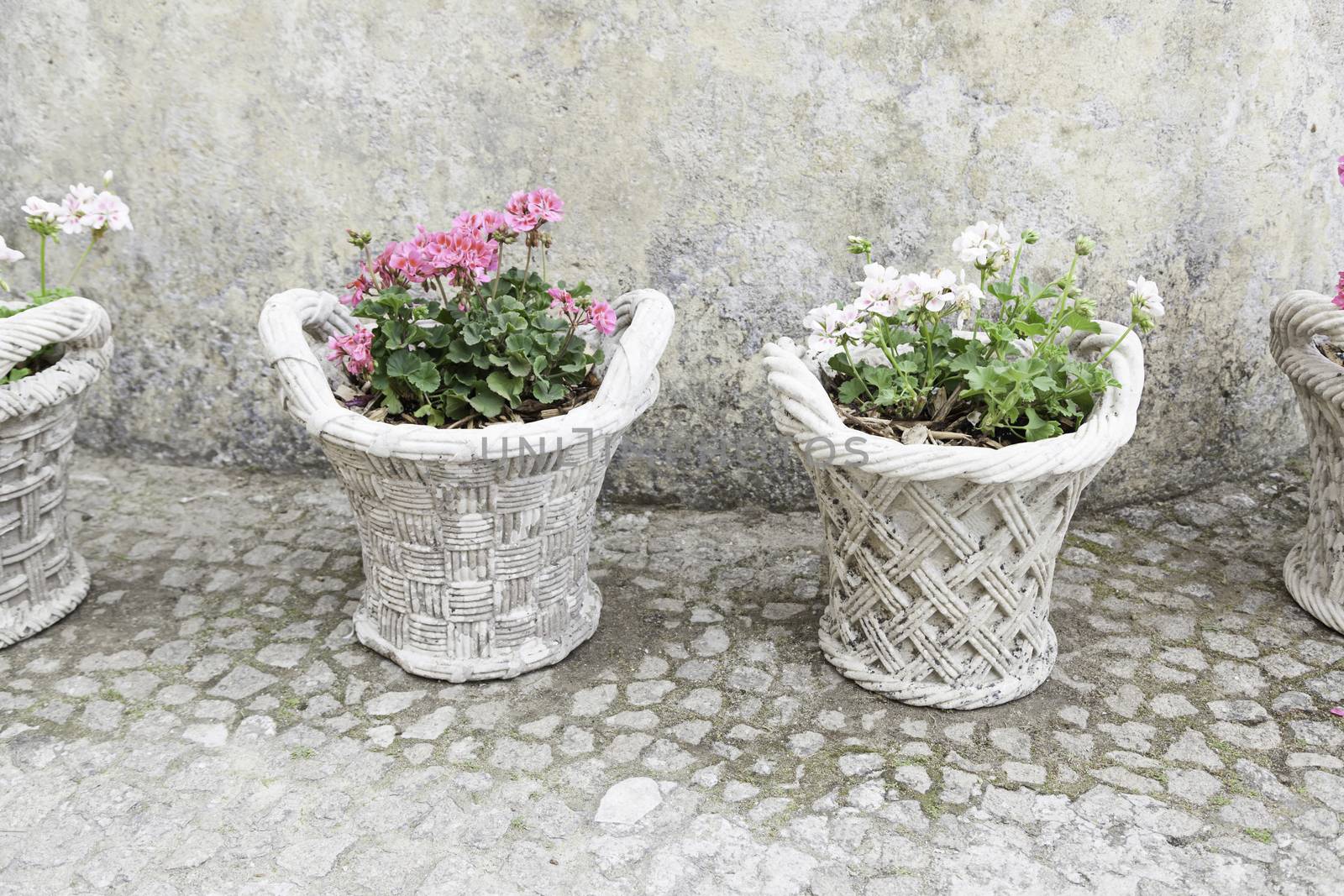 Old potted plants, detail put some pots plants, nature