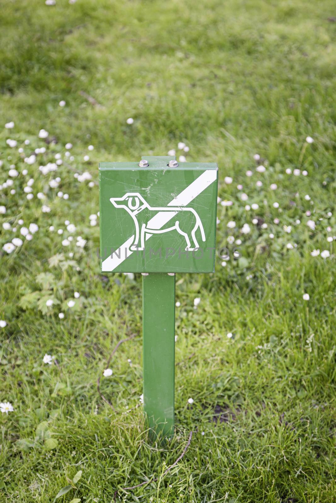 Signal not dogs on grass, detail of a prohibition sign on a lawn, information