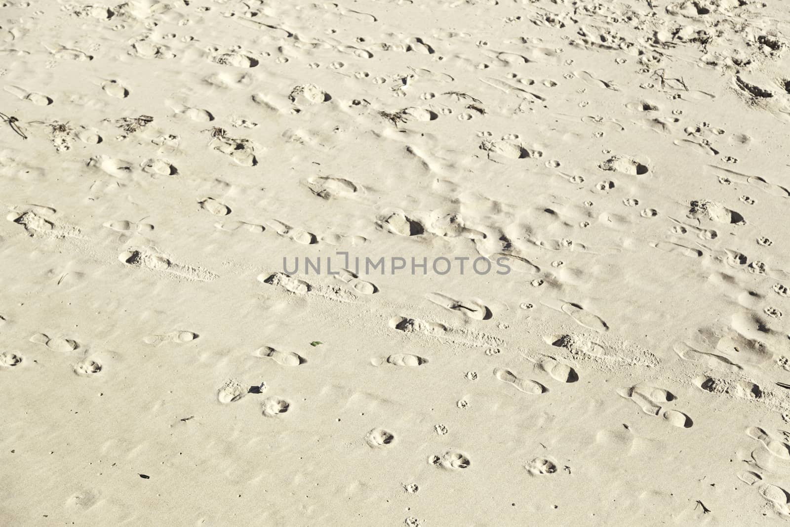 Footprint in the sand on the beach, detail signal marked in the sand, sea sand