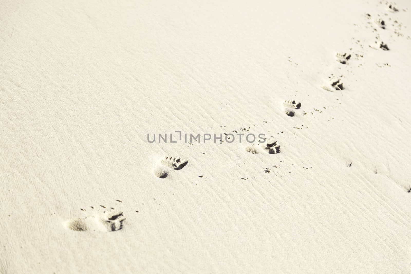 Footprint in the sand on the beach, detail signal marked in the sand, sea sand