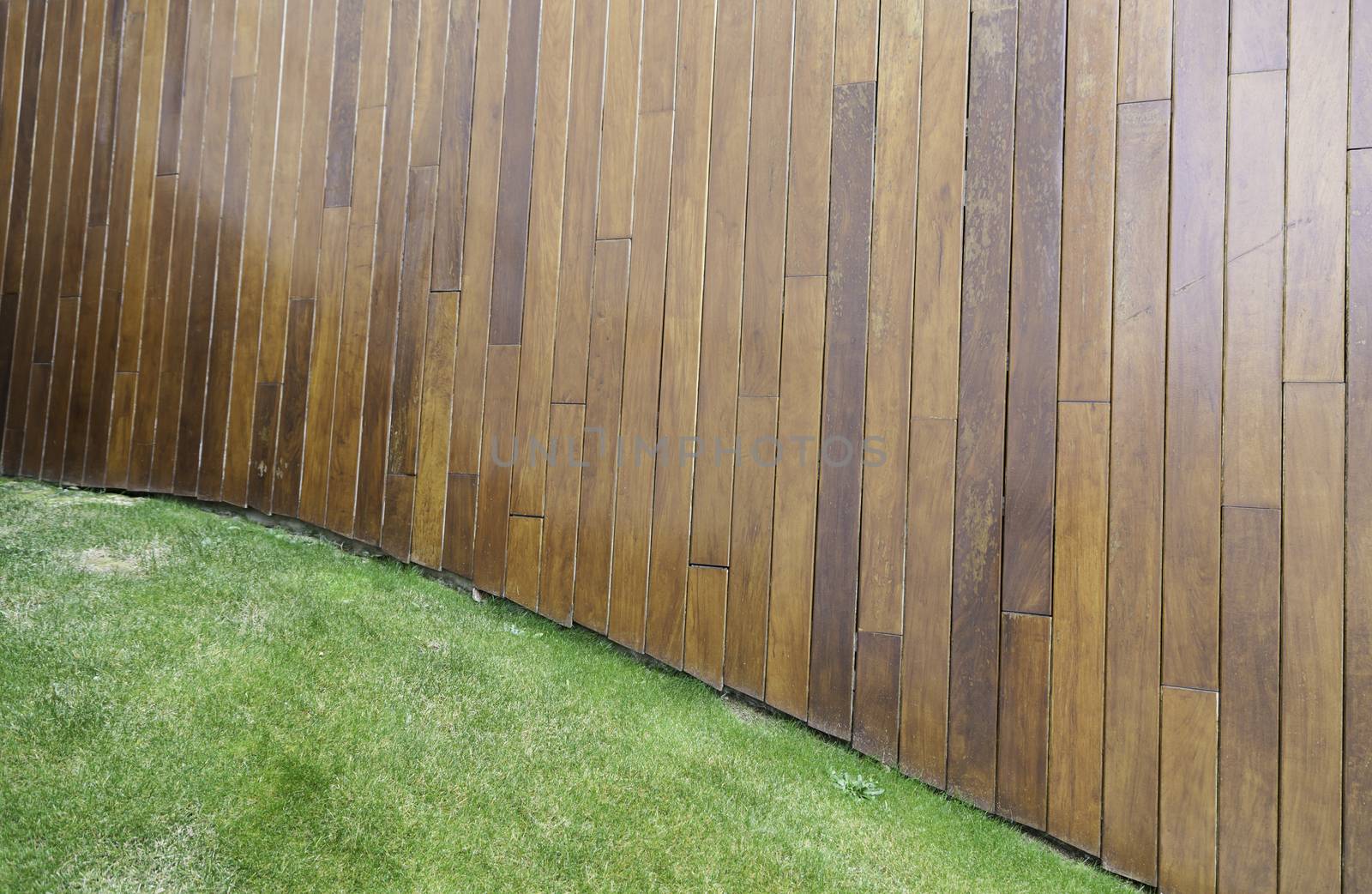 Wooden wall with grass, detail of a wall lined with wooden flooring grass, urban garden