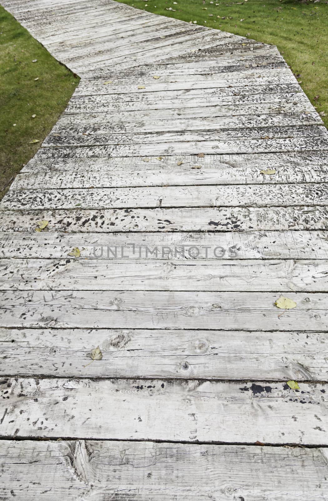 Eastern Wood Road, detail of a road in a zen garden, oriental decoration