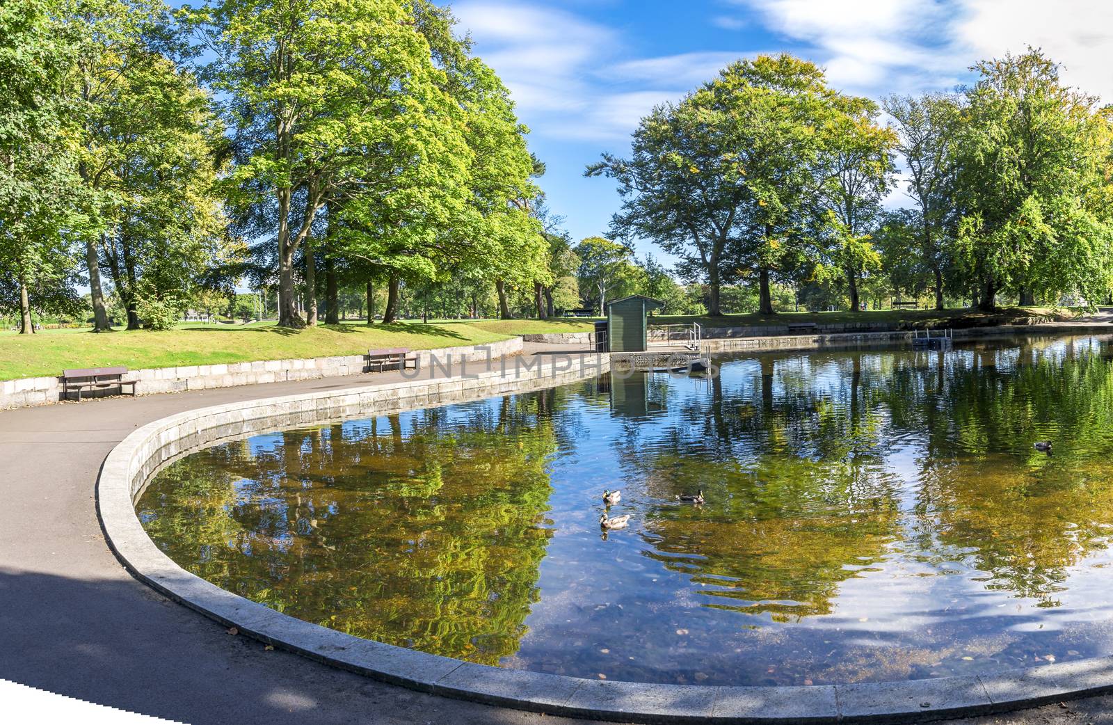 A view of a small shallow pond in the centre of Duthie Park, Aberdeen, Scotland by anastasstyles