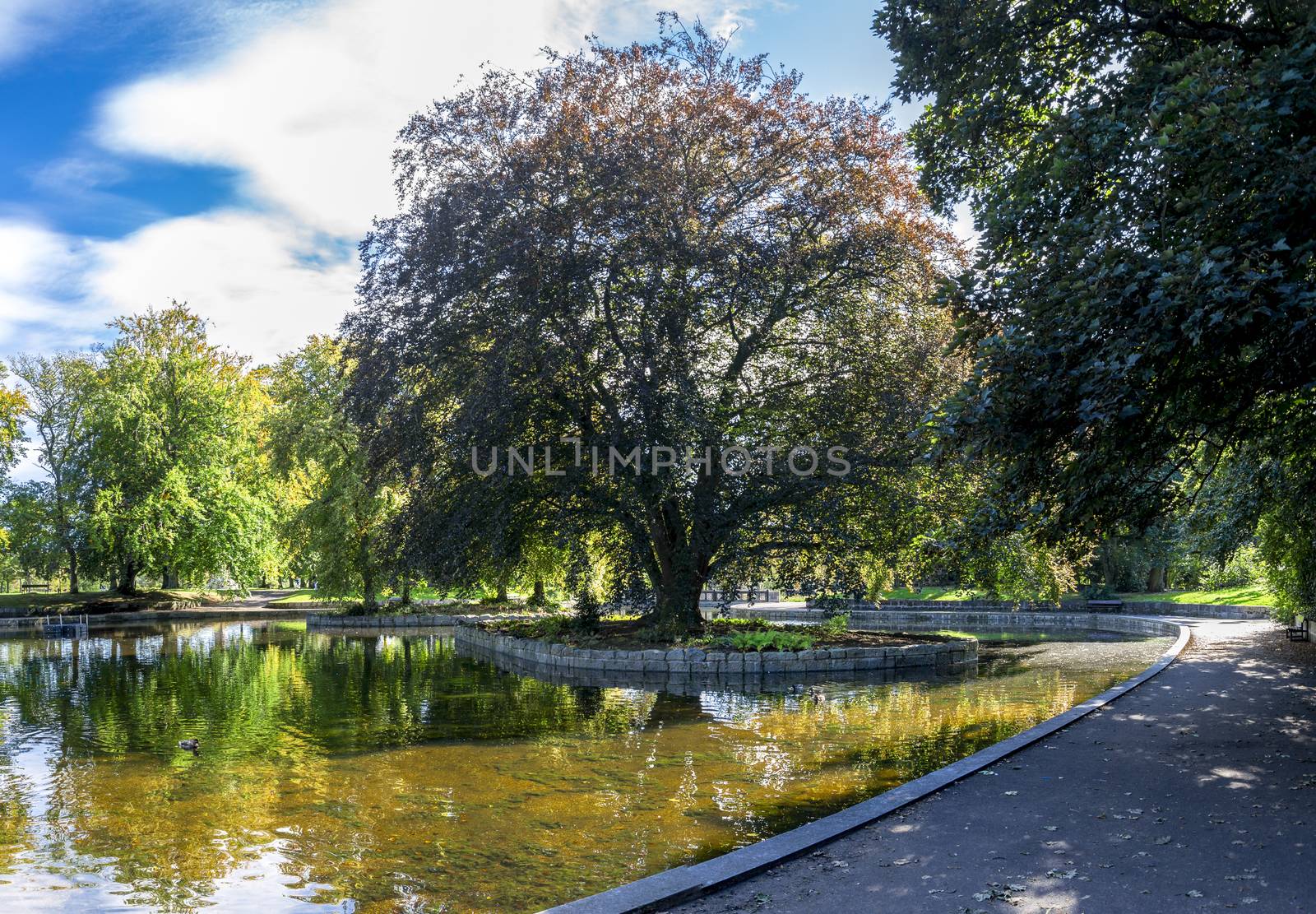 A view of a small shallow pond in the centre of Duthie Park, Aberdeen, Scotland