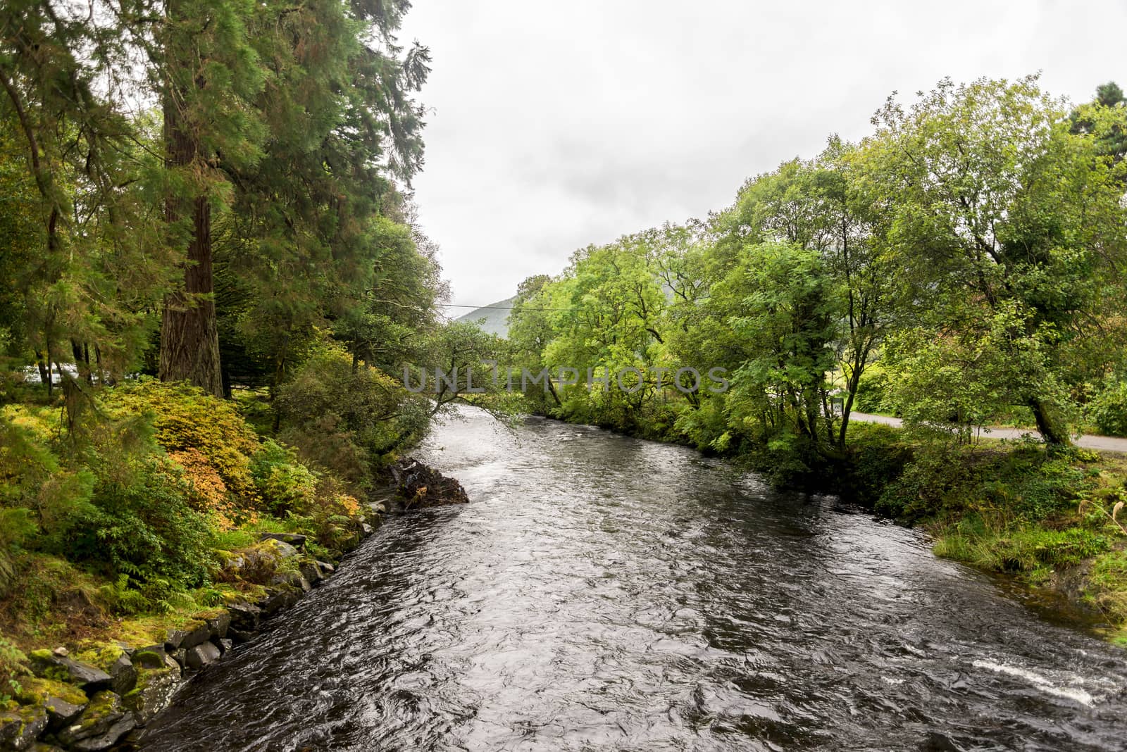River Eachaig flowing thru Benmore Botanic Garden, Loch Lomond and the Trossachs National Park, Scotland